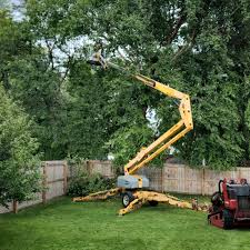 Best Tree Risk Assessment  in Port Wentworth, GA